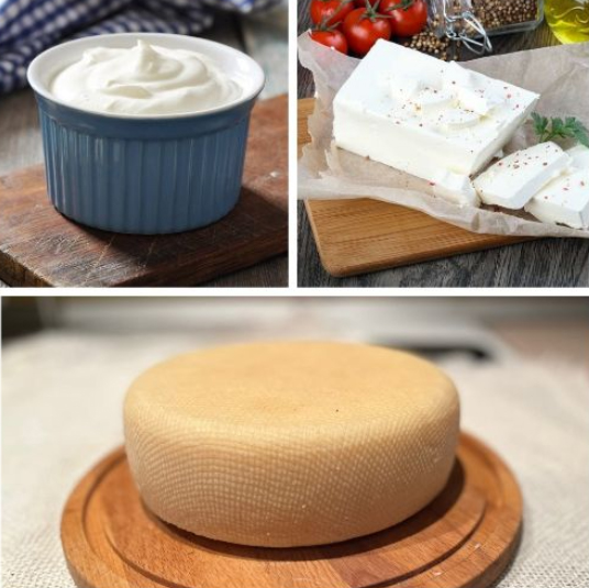 [Школа Куртинских] Закрытый мастер-класс сыра со в_0.png